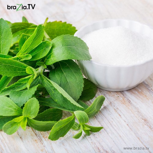 Stevia