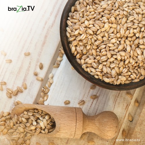 Pearl barley